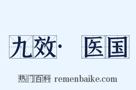 九效·医国是什么意思的图片